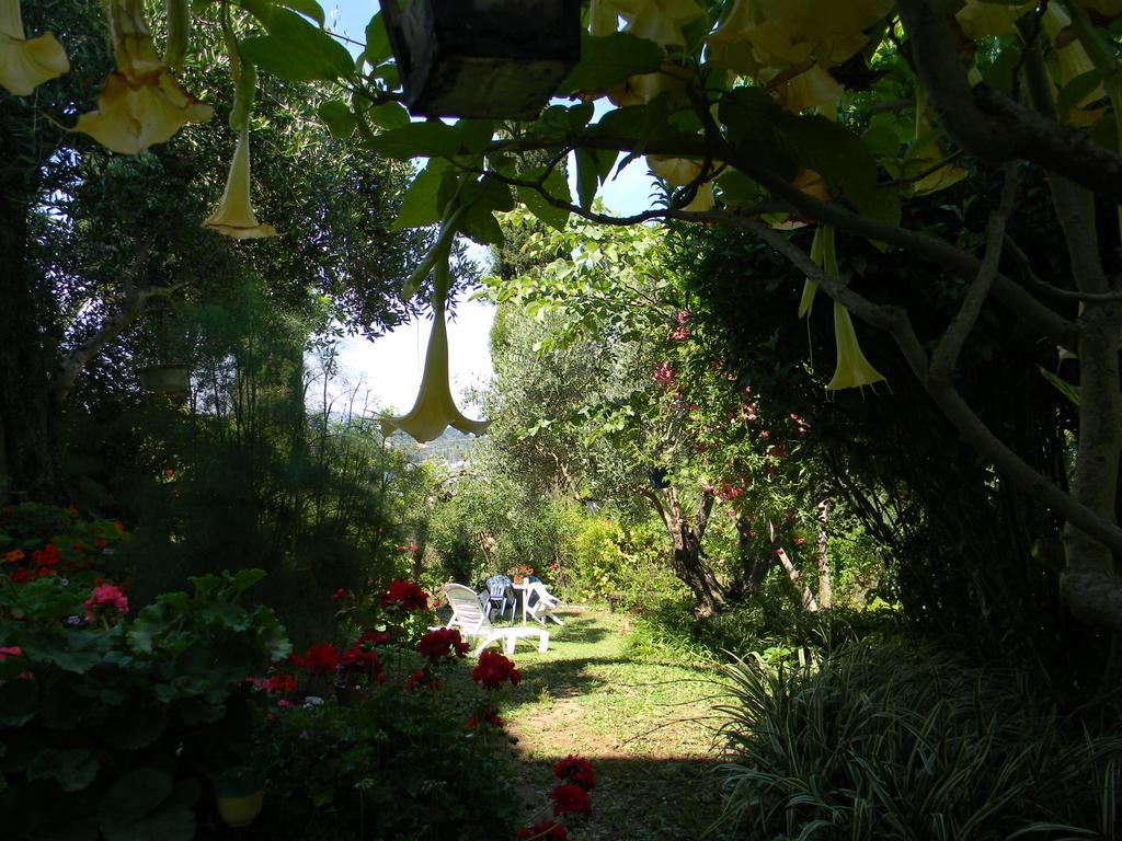 Villa Efterpi Kontokali Esterno foto